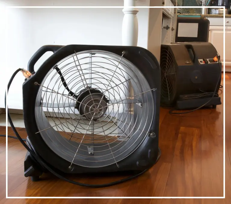A fan that is sitting on the floor.